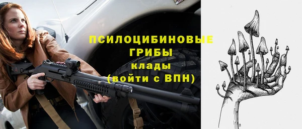 стафф Абаза