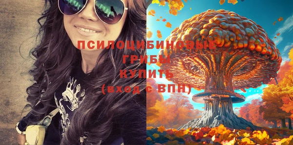 стафф Абаза
