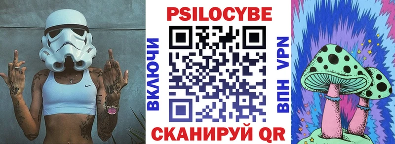 как найти Тимашёвск Галлюциногенные грибы Psilocybe